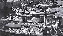 Cliquez pour agrandir l'image